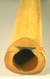 A shakuhachi showing its utaguchi (歌口, blowing edge) and inlay