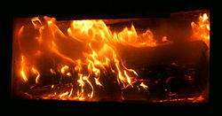 Log in fireplace.