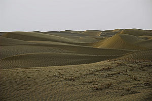 The Takla Makan Desert, November 2005.