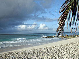 The beach in Barbados.
