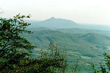 Pilot Mountain as seen from Virginia.
