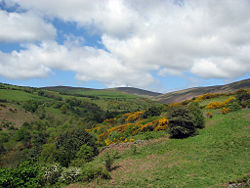 A view up a glen with Snaefell at the head.