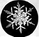 Snow crystal