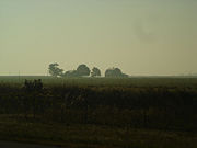 Ohio farm in the early morning mist.