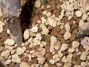 Akadama soil.