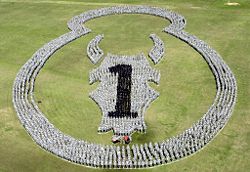 A military brigade combat team forms a logo on a field during a farewell ceremony