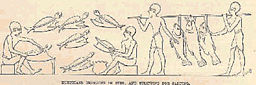 Egyptians bringing in fish, and splitting for salting.