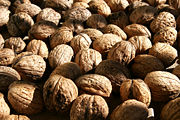 Persian walnuts