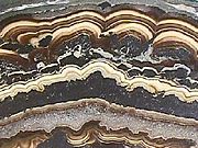 Barite (cream and brown bands) with galena (silvery) and hematite from Poland.