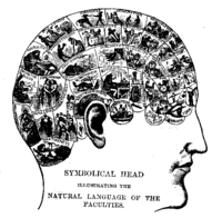 Phrenology Chart