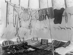 Photograph of Crow lodge interior, 1907, showing the poles and outer skin at the top, the inner lining and bedding. The lashing rope is tied off to a wooden stake at the bottom of the photograph. Clothing is suspended on a line tied between two of the tipi poles.