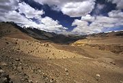 Landscape in Ladakh