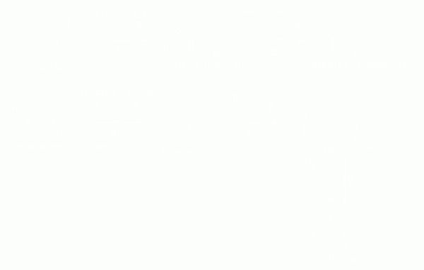 Threonine biosynthesis