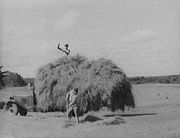 Two men loading hay on a truck in Massachusetts, 1936.