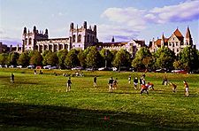 The University of Chicago's Midway Plaisance, a long stretch of parkland that bisects the campus
