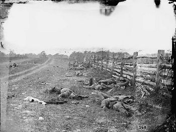 Dead soldiers lie where they fell on the field at Antietam