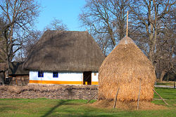 A traditional house in the Village Museum