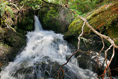 Butchers Creek in Omeo, Victoria.