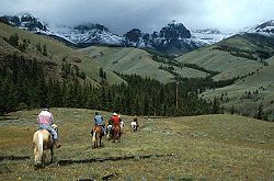 Horseback riding in Greybull Ranger District
