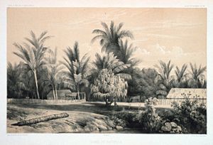 Houses of natives in Tahiti, c. 1842