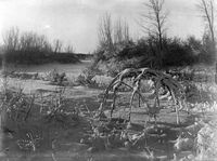 frame of Crow wickiup in snow