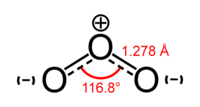 In the structure of ozone, each bond is midway between a single bond and a double bond.