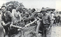 Weak and sickly POWs on water buffalo-driven carts after liberation.