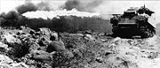 Several M4A3 Sherman tanks equipped with flamethrowers were used to clear Japanese bunkers