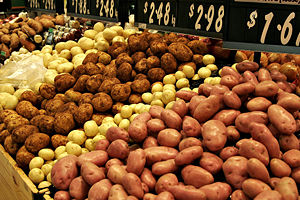 Potatoes are a common dietary source of starch