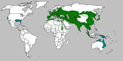 Reconstructed range of wild boar (green) and introduced populations (blue)