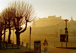 Early Morning Scene