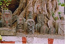 A Vijayanagara naga stone