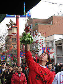 'Choi chang is a tradition at the Chinese New Year where the shopkeepers tie a clump of lettuce with a red envelope of money above the door of their shop.  The lion jumps up and eats the lettuce and keeps the money. This will bring good lock to the store during the upcoming year.
