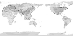 Distribution