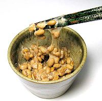 Only the smaller ends of chopsticks contact the food. Here chopsticks are being used to eat a Japanese dish known as Natto, made from fermented soybeans.