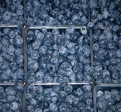 Blueberries at market.