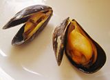 Cooked mussels