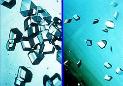 Comparison of insulin crystal growth in outer space (left) and on Earth (right). NASA image.