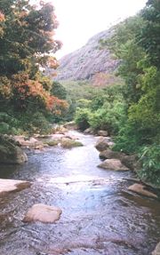 Pambar river in the Marayoor region of northwestern Idukki district.