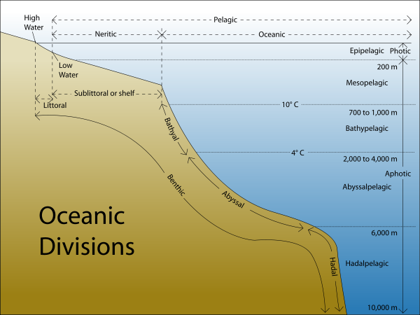 The major oceanic subdivisions.