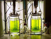 Moss photobioreactor with Physcomitrella patens