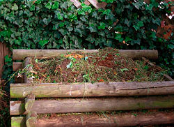 A compost bin.