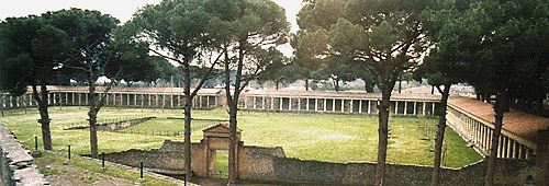 Pompeii gymnasium, seen from the top of the stadium wall. The depression center-left was filled with water and used for swimming practice as well. Mock sea battles (naumachiae) were conducted in the flooded arena floor or a specially dug pool in the arena. According to Oscar Brockett in his History of the Theatre, 5th Ed. (1987), p. 70, Perhaps the most spectacular of all entertainments were the naumachiae, or sea battles. The first was given in 46 B.C.E. by Julius Caesar on a lake dug for the occasion; it featured a battle involving 2,000 marines and 6,00 oarsmen. Later the amphitheatres were sometimes flooded for such events. By far the most ambitious of all the naumachiae was given in 52 C.E. on the Fucine Lake east of Rome to celebrate the completion of a water conduit. On that occasion, 19,000 participants fought and many perished. To the right (partially obscured by a tree trunk) is a line of carbonized tree stumps, remains of trees (each hundreds of years old) that were part of the palaestra and were burned in the volcanic eruption of Mount Vesuvius in 79. Between these and the colonnade is a line of saplings recently planted as a replacement.