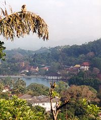 View of the lake from Rajapihilla Mawatha, on the right the golden roof of the Temple of the Tooth, top left a Toque Macaque