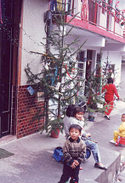 Christmas trees in Taiwan
