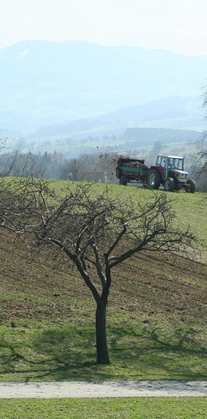 Spreading manure, an organic fertilizer.