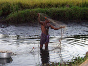 Most Keralites, such as this fisherman, live in rural areas.