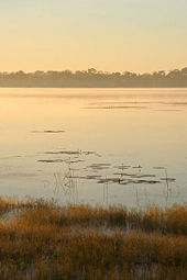 Mamukala Wetlands in Kakadu National Park
