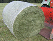 Round bales are harder to handle than square bales but compress the hay more tightly. This round bale is partially wrapped to keep out moisture