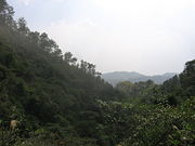 Yunmen mountain.